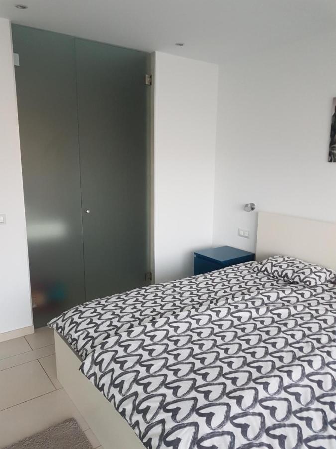 Apartment Tenerife Sur Palm-mar Dış mekan fotoğraf